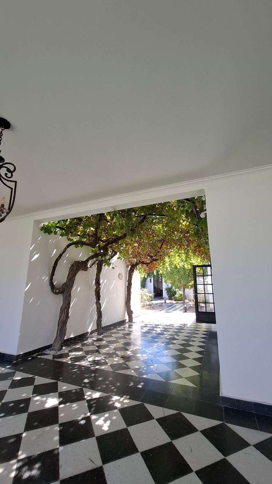 Viamonte Winery Lodge Chacras de Coria Exteriör bild